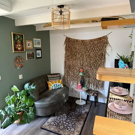 Tiny House - Surfers Paradise Noordwijk