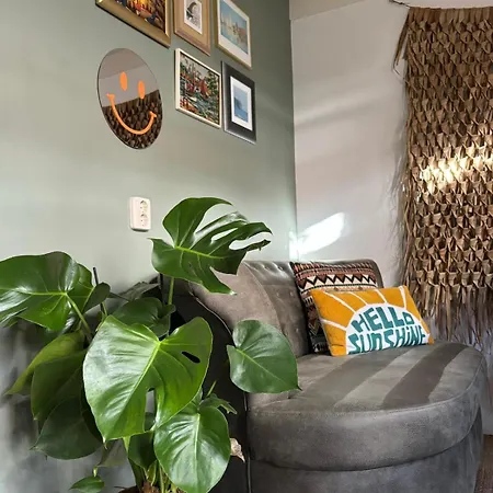 Tiny House - Surfers Paradise Semesterbostad Noordwijk