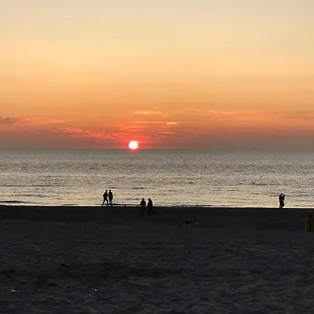 Semesterbostad Tiny House - Surfers Paradise *