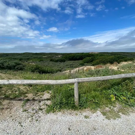 Tiny House - Surfers Paradise Semesterbostad *