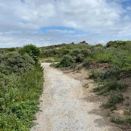 Semesterbostad Tiny House - Surfers Paradise Noordwijk