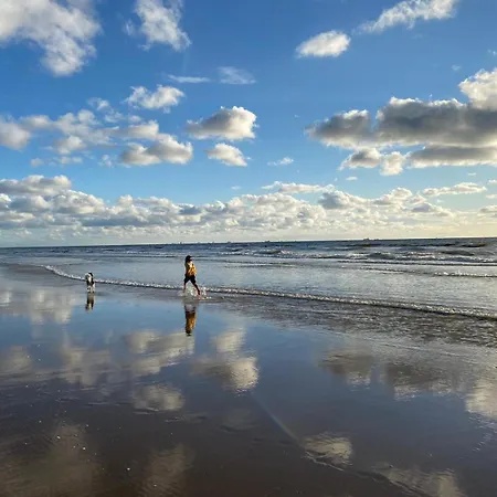 Tiny House - Surfers Paradise Noordwijk