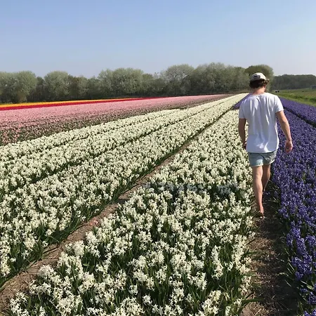 Tiny House - Surfers Paradise Semesterbostad Noordwijk
