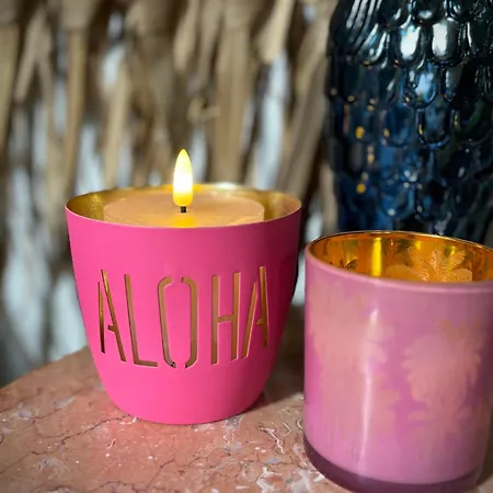 Tiny House - Surfers Paradise * Noordwijk