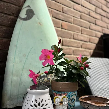 Tiny House - Surfers Paradise *