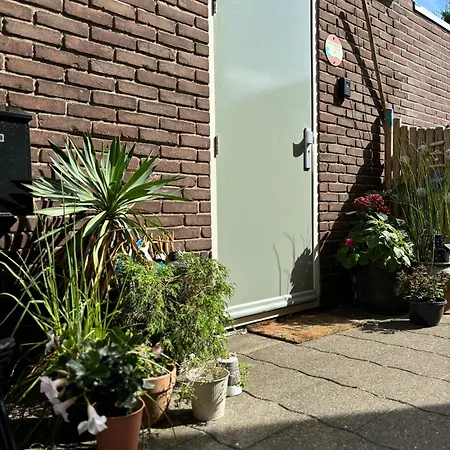 Tiny House - Surfers Paradise *