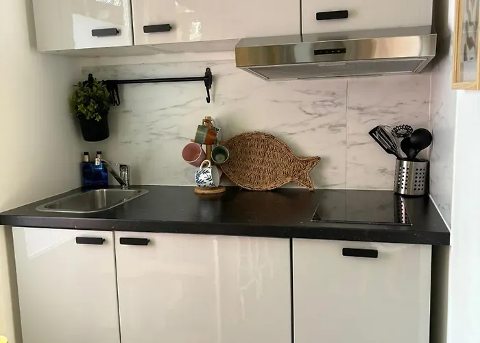 Nyaraló Tiny House - Surfers Paradise Noordwijk