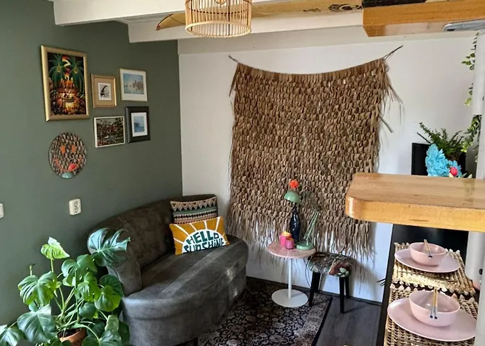 Tiny House - Surfers Paradise Noordwijk