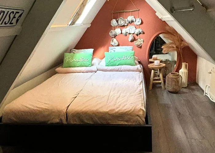 Nyaraló Tiny House - Surfers Paradise Noordwijk