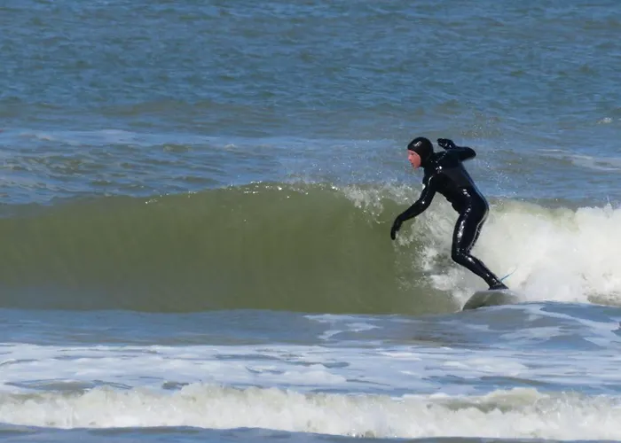 Tiny House - Surfers Paradise Nyaraló