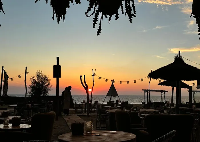 Holiday home Tiny House - Surfers Paradise Noordwijk