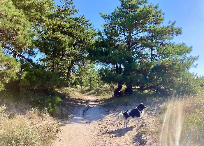 Tiny House - Surfers Paradise Noordwijk
