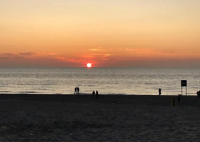 Nyaraló Tiny House - Surfers Paradise *