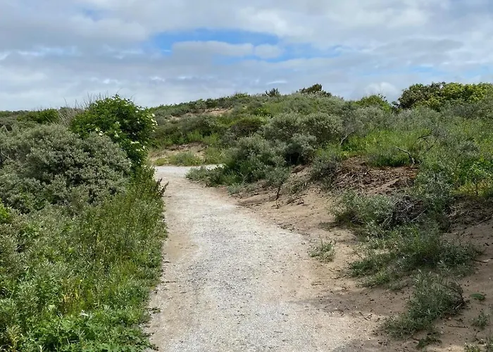 Nyaraló Tiny House - Surfers Paradise Noordwijk