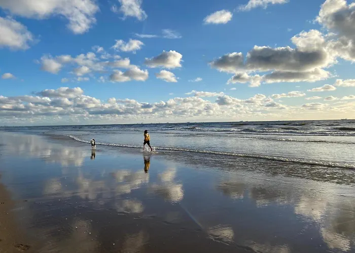 Tiny House - Surfers Paradise Noordwijk