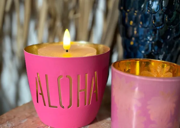 Tiny House - Surfers Paradise * Noordwijk