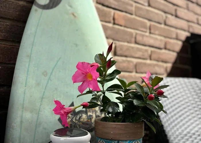 Tiny House - Surfers Paradise *